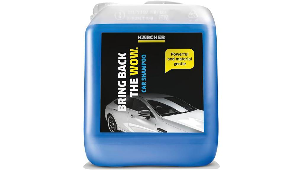 karcher rm 619 detergent